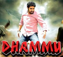 albums-photos-videos